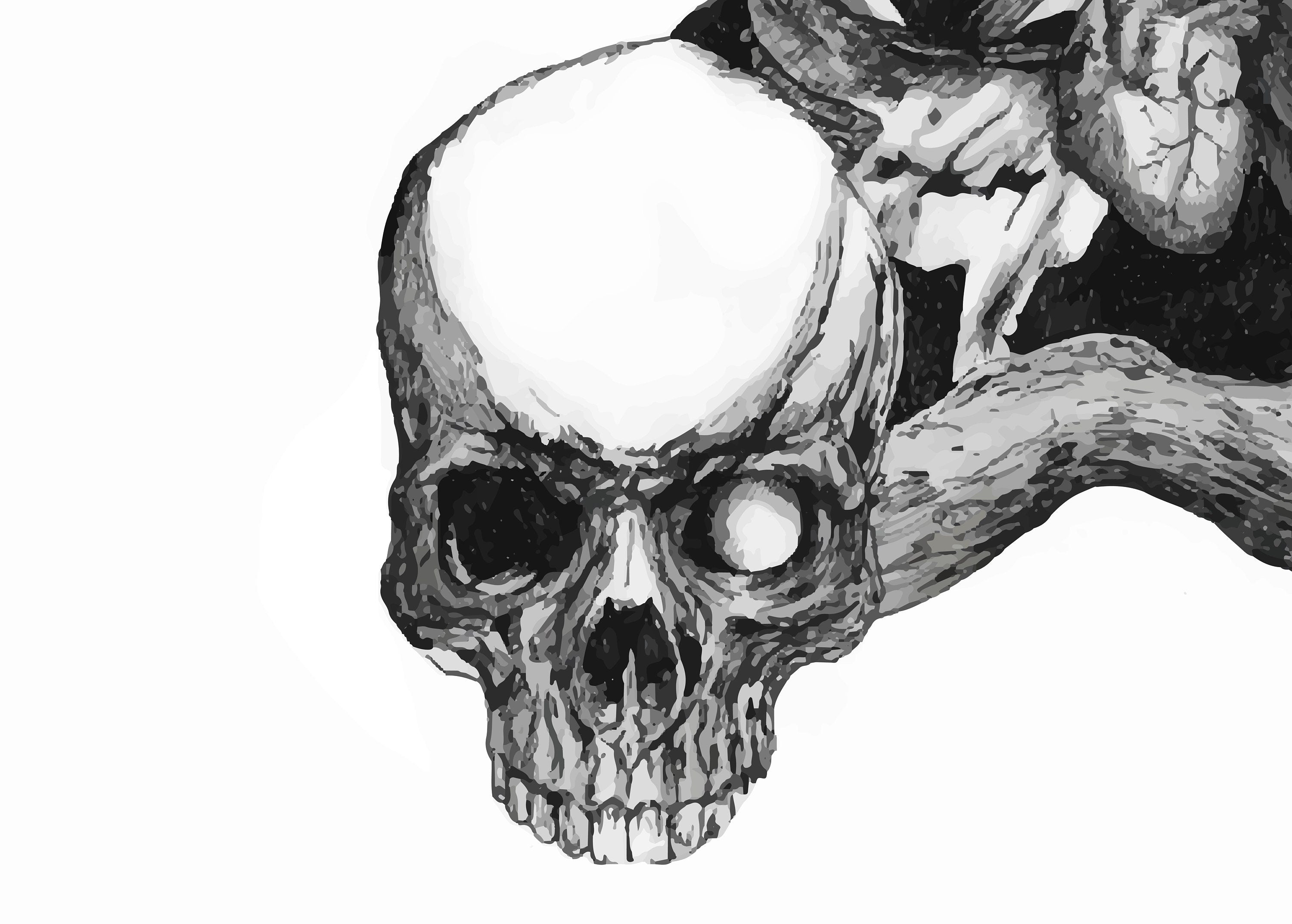 Edgar Allan Poe Nevermore – illustrazione stampa artistica