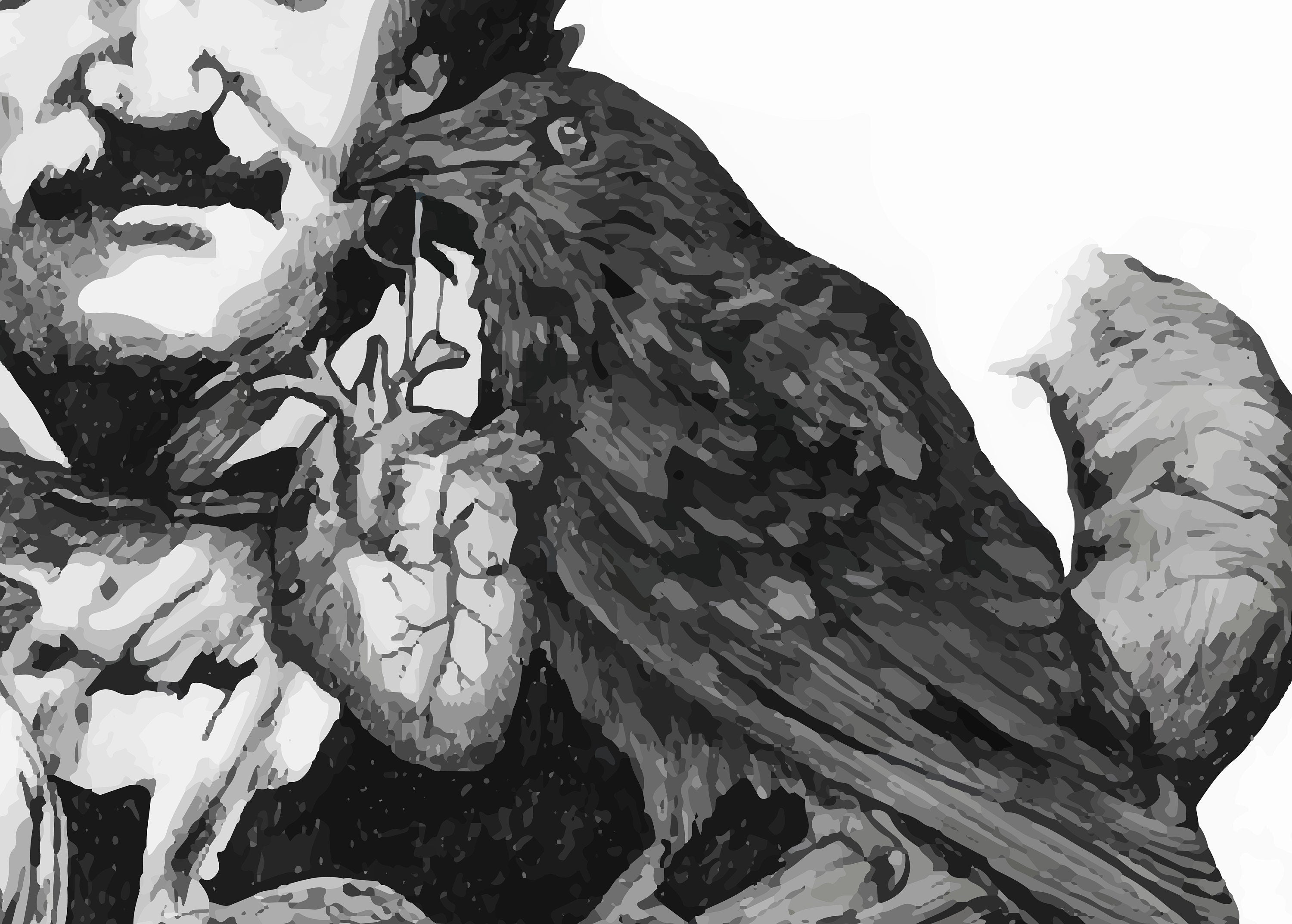 Edgar Allan Poe Nevermore – illustrazione stampa artistica